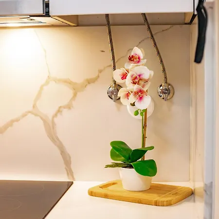 Black Cozy * Livramento