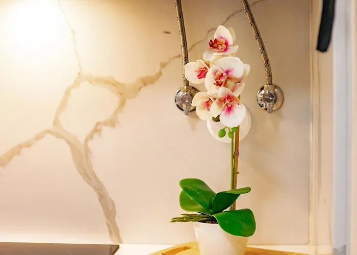 Black Cozy * Livramento